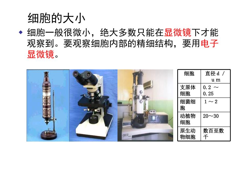 高二生物--细胞膜的结构和功能课件_第2页