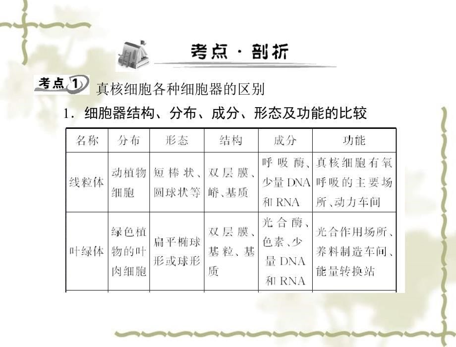 高考生物一轮复习 第3章 第2节 细胞器——系统内的分工合作课件 新人教版必修1_第5页