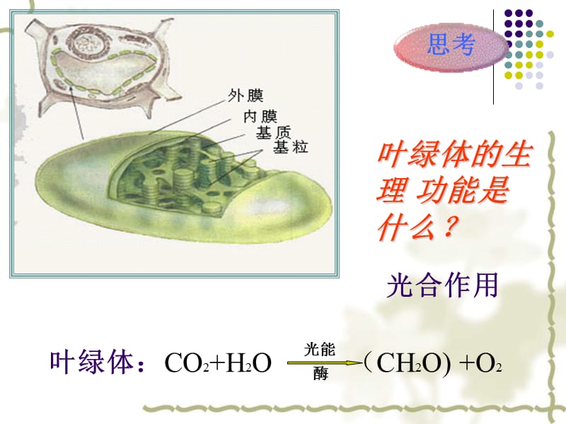 高中生物第1节降低化学反应活化能的酶课件人教必修1_第4页