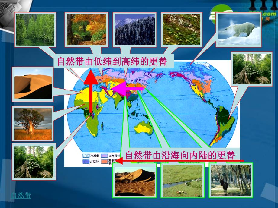 高中地理 自然地理环境的差异性最新课件 新人教版必修_第3页