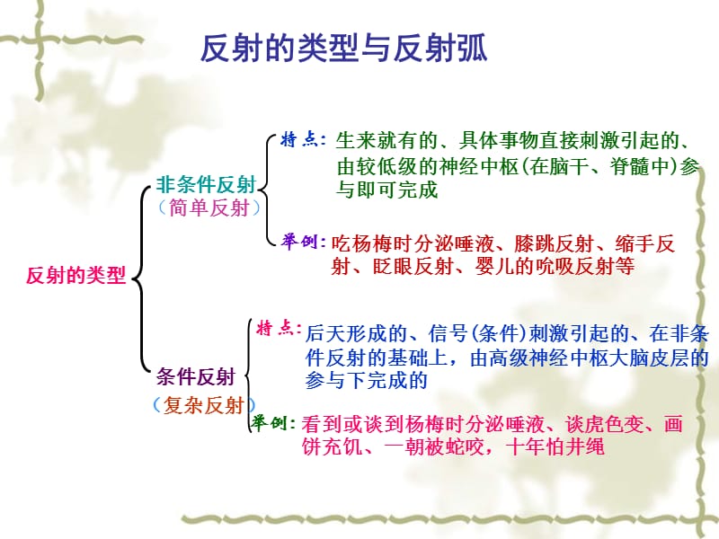 高考生物 高频考点28 反射的类型和反射弧素材_第1页