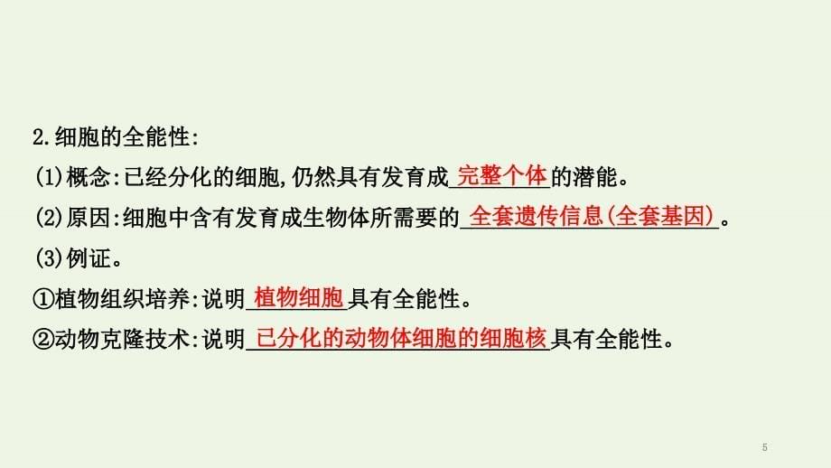 2021届高考生物一轮复习第四单元细胞的生命历程3细胞的分化衰老凋亡和癌变课件新人教版051_第5页