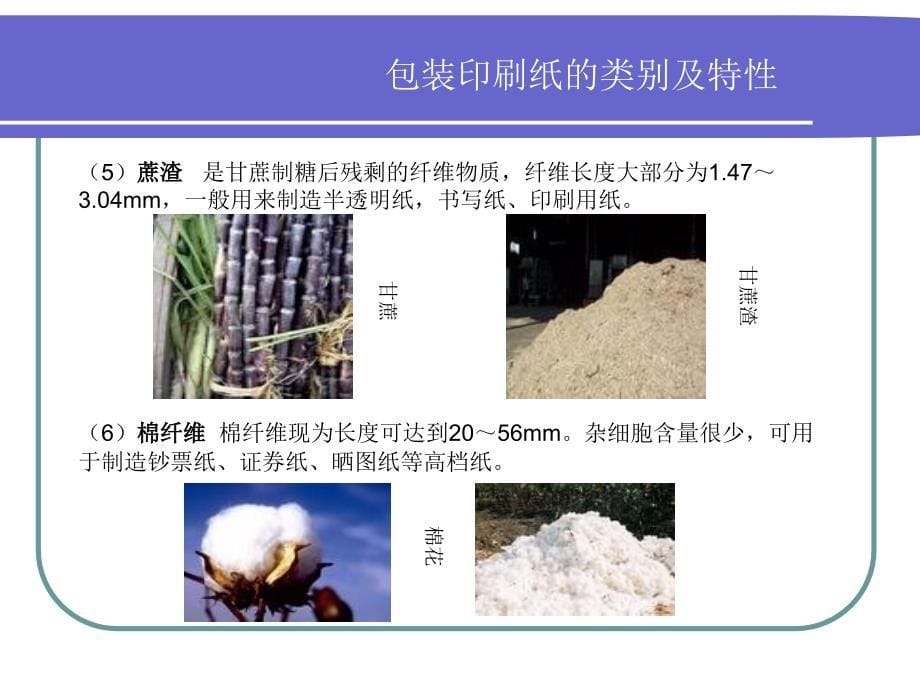 造纸材料及造纸工艺精编版_第5页