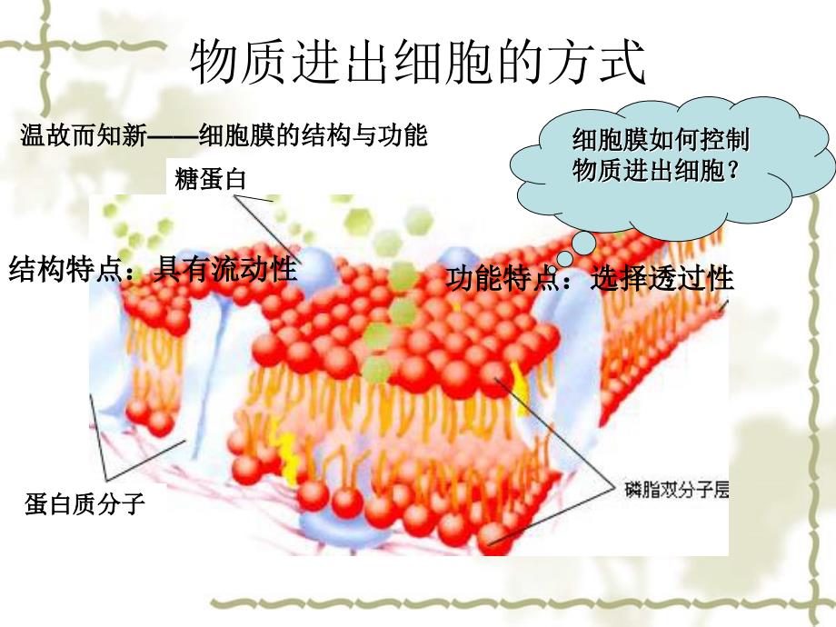 高中生物 物质进出细胞的方式之扩散与渗透课后测试课件 浙教必修1_第2页