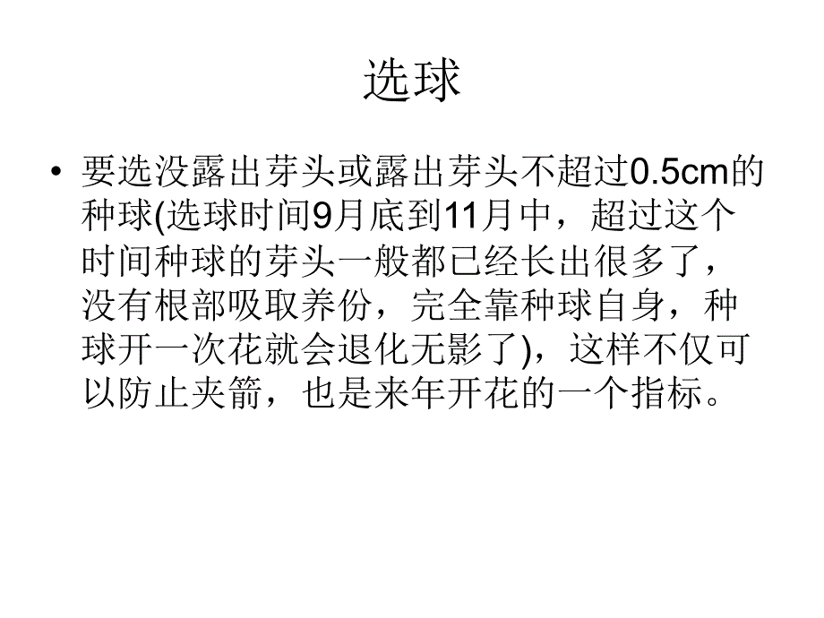 风信子种植课件_第4页