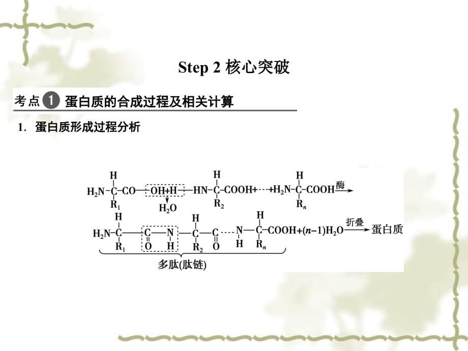 高考生物一轮复习 113生命活动的主要承担者——蛋白质遗传信息的携带者——核酸课件 新人教版_第5页