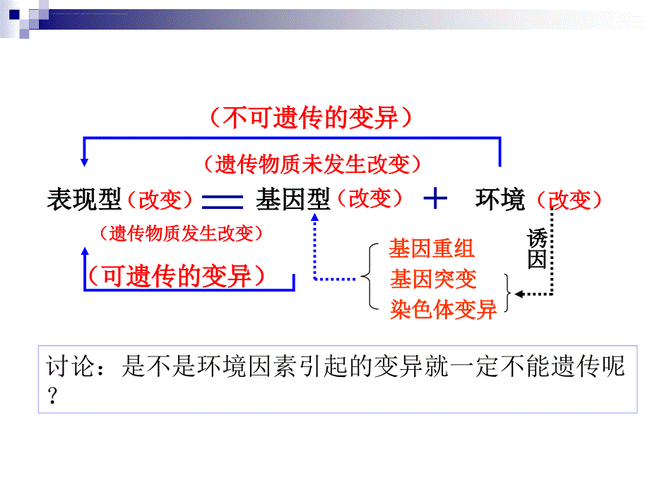 高考生物一轮复习课件基因突变和基因重组_第4页