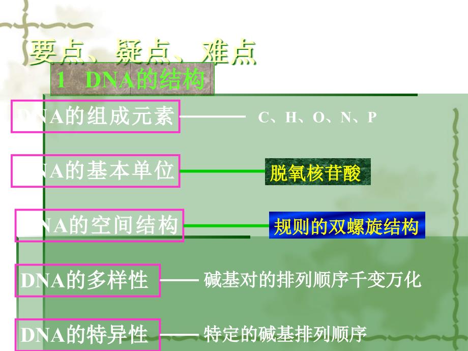 高中生物 6.2DNA分子的结构与复制课件_第2页