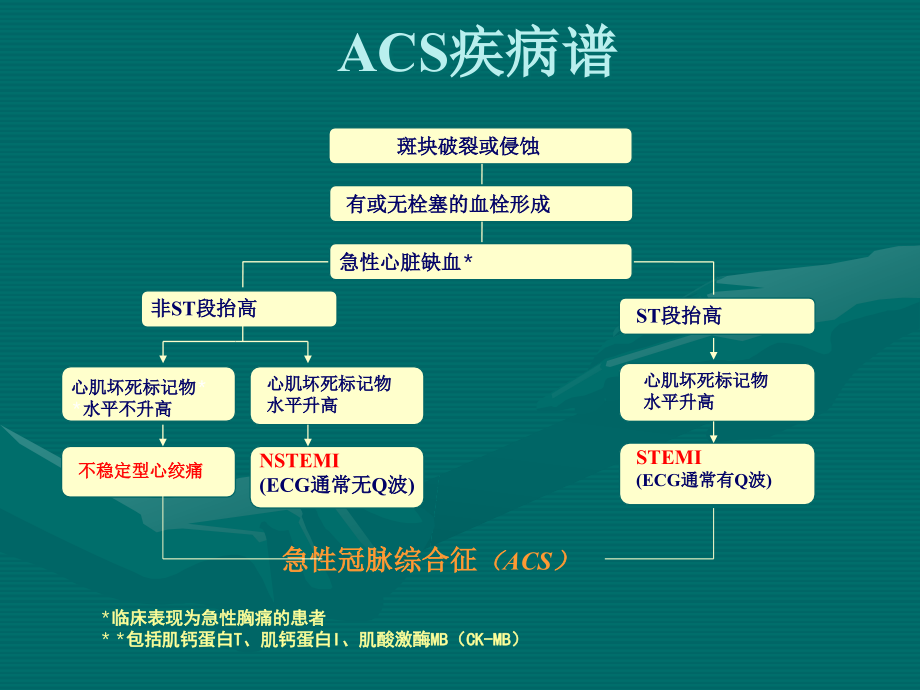 急性冠脉综合征(PPT)_第3页