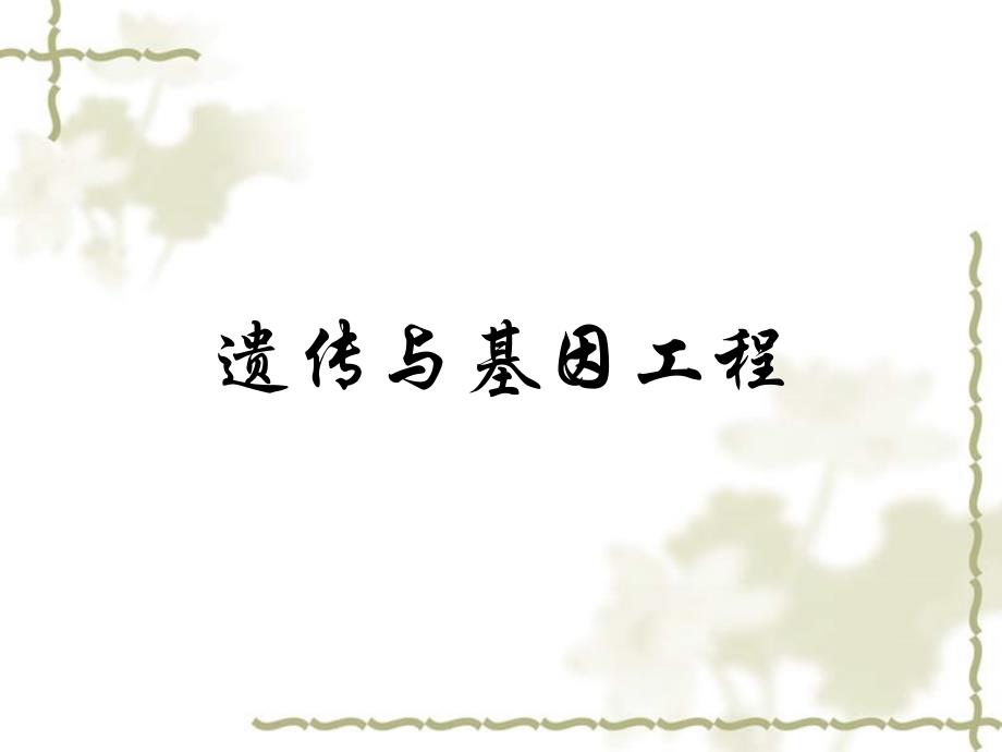 高中生物高考专题复习课件：遗传与基因工程课件新人教版必修1_第2页