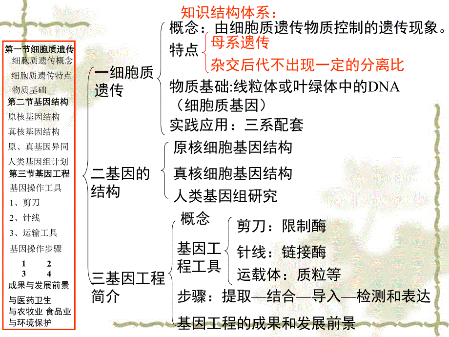 高中生物高考专题复习课件：遗传与基因工程课件新人教版必修1_第3页