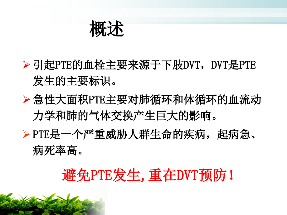 骨科深静脉血栓的预防及护理课件_第3页