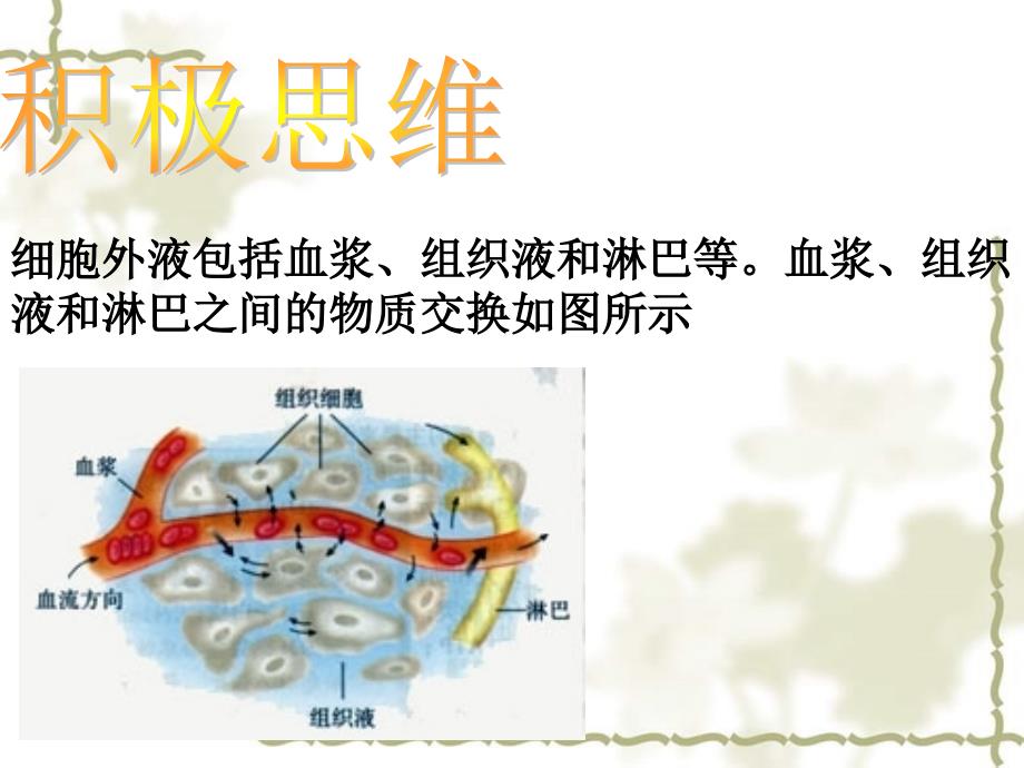 高中生物 2.1人体的稳态课件 苏教必修3_第2页