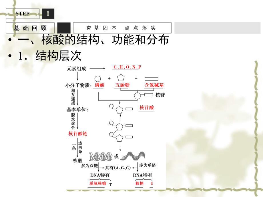 高考生物一轮复习 第1单元 细胞的化学组成3课件 苏教必修1_第3页