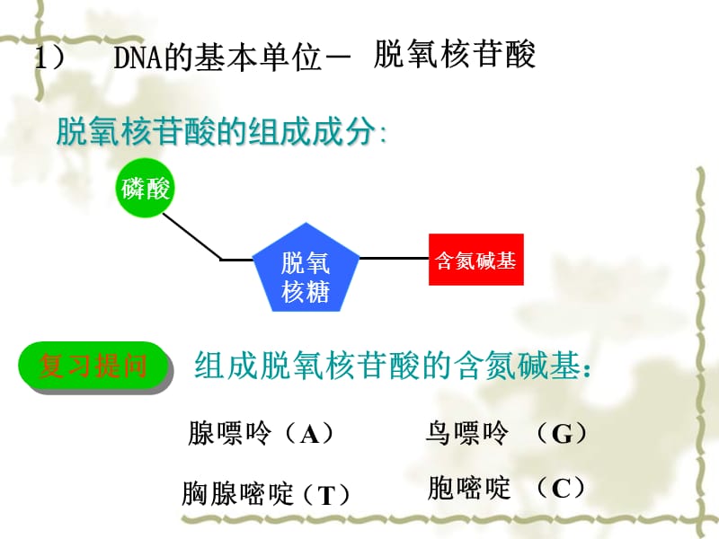 高中生物 DNA的结构和复制教学课件 新人教版必修2_第5页