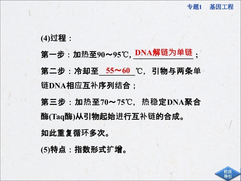 高中生物同步课件：1.2 基因工程的基本操作程序(新人教版选修3)_第5页