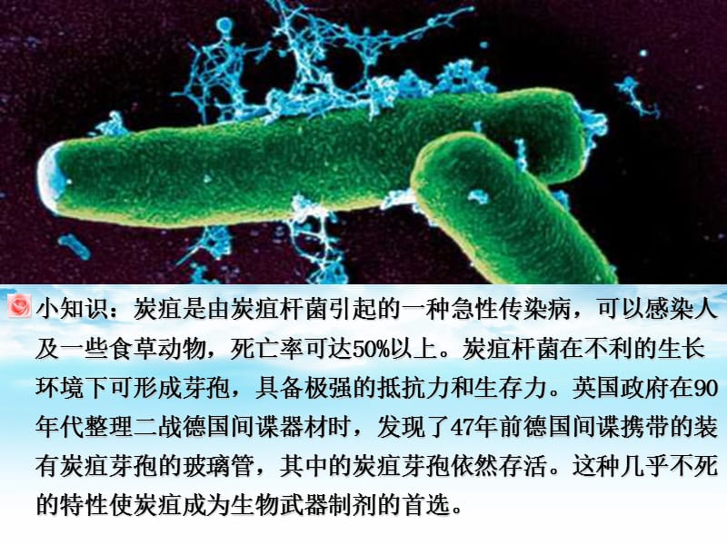 高中生物：专题4禁止生物武器人教选修1_第4页