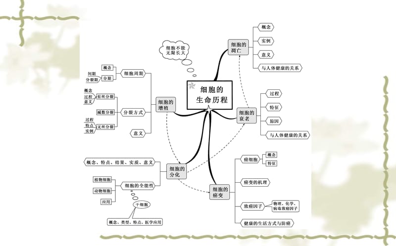 高考生物一轮复习 章末知识体系构建6课件 新人教版必修1_第2页