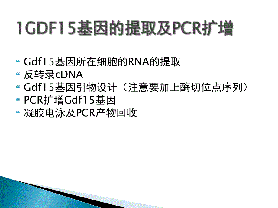 高表达稳定株的构建课件_第3页