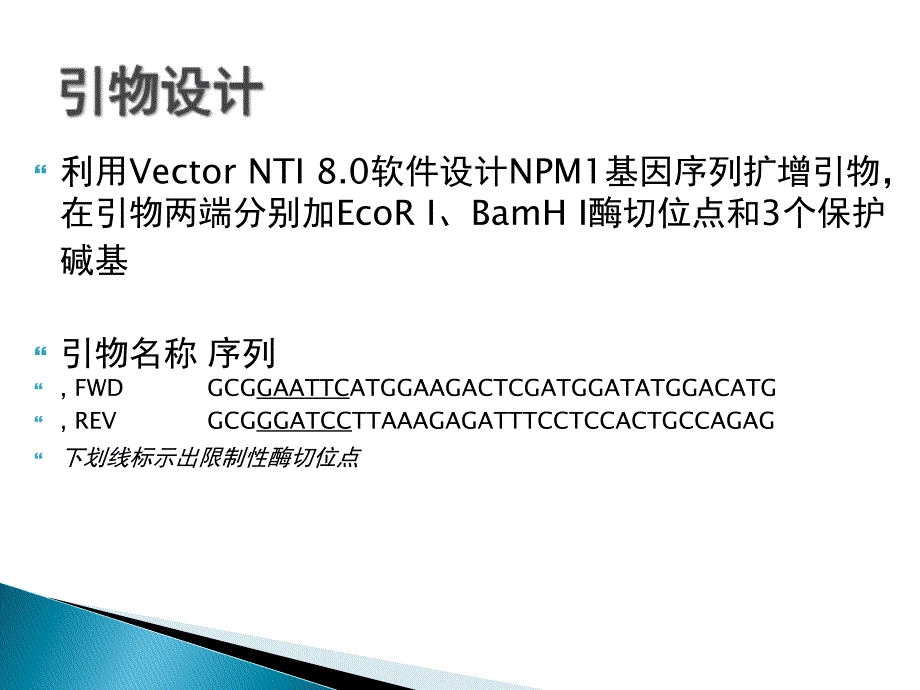 高表达稳定株的构建课件_第4页