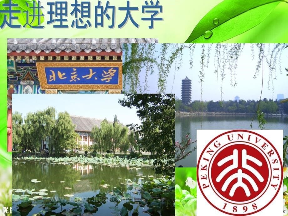 我的大学梦模板ppt课件_第5页