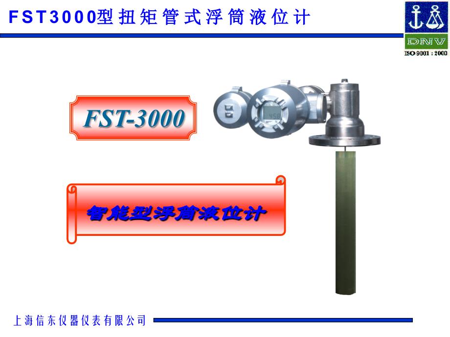 FT3000液位计介绍课件_第1页