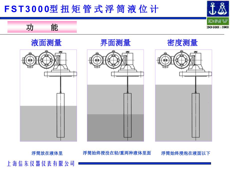 FT3000液位计介绍课件_第4页