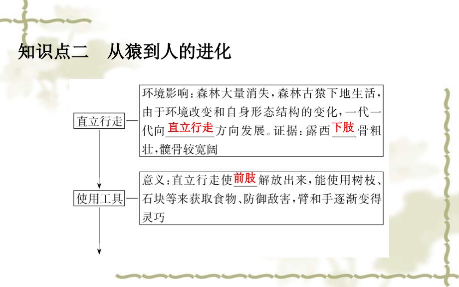 七级生物下册4.1.1人的起源和发展习题课件新新人教版20200302383_第4页