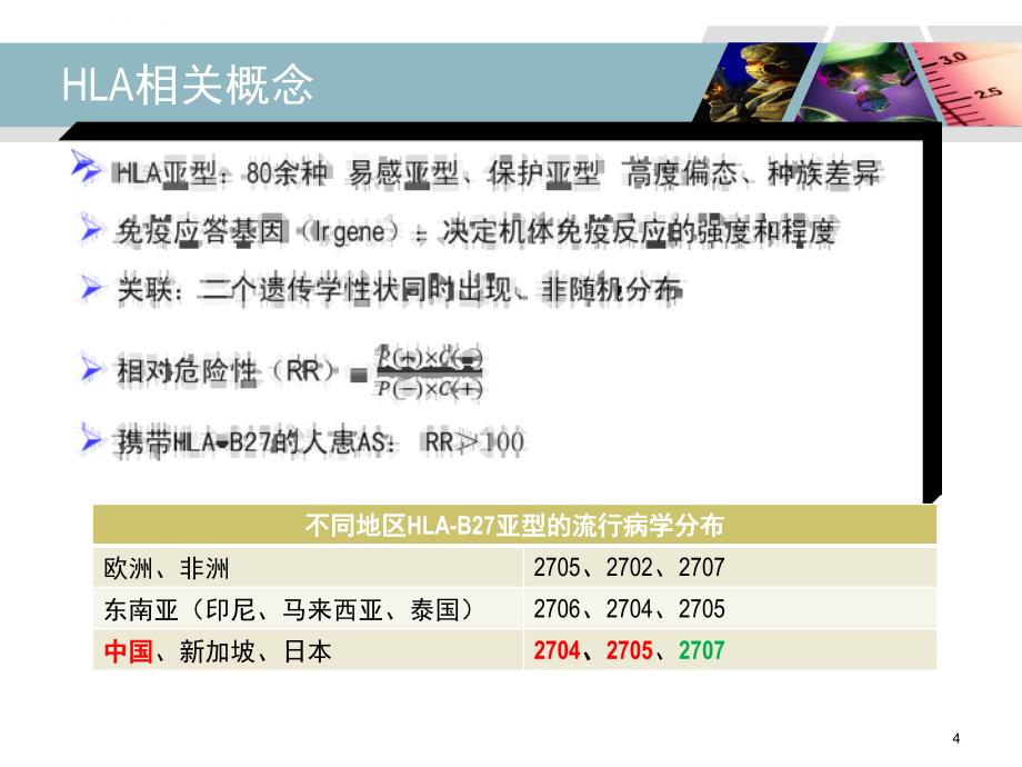 HLA-B27检测及其临床应用课件_第4页