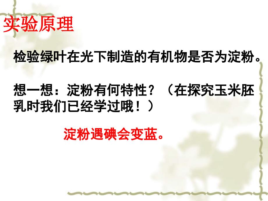 广东省台山市新宁中学七级生物上册 第三单元 第四章 绿色植物是生物圈中有机物的制造者课件 新人教版_第4页