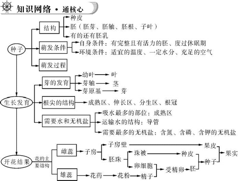 山东省肥城市汶阳镇初级中学七级生物上册 被子植物的一生课件 新人教版_第4页