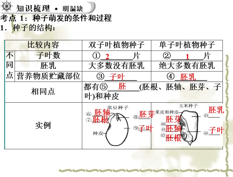 山东省肥城市汶阳镇初级中学七级生物上册 被子植物的一生课件 新人教版_第5页