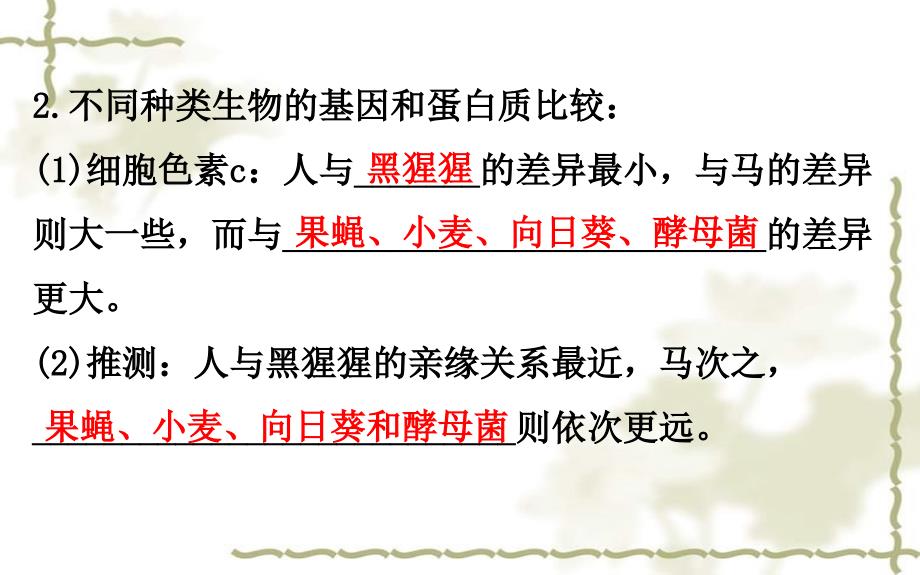 八级生物下册 7.3.2地球上生命的起源习题课件（新）新人教版_第3页