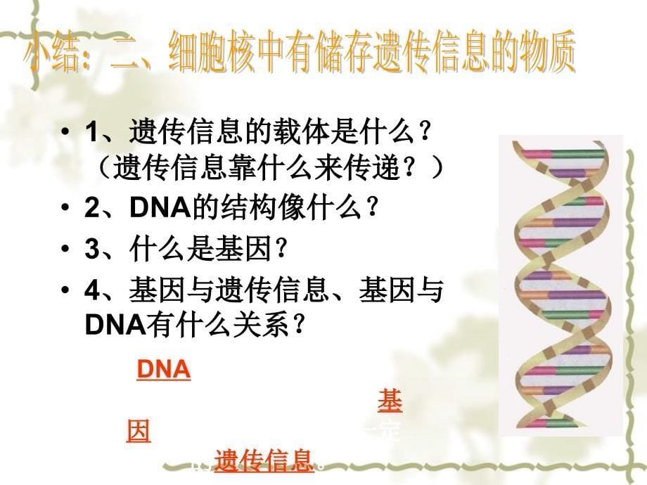 北京市和平北路学校七级生物上册 2.2.2 细胞核是遗传信息库课件 新人教版_第5页