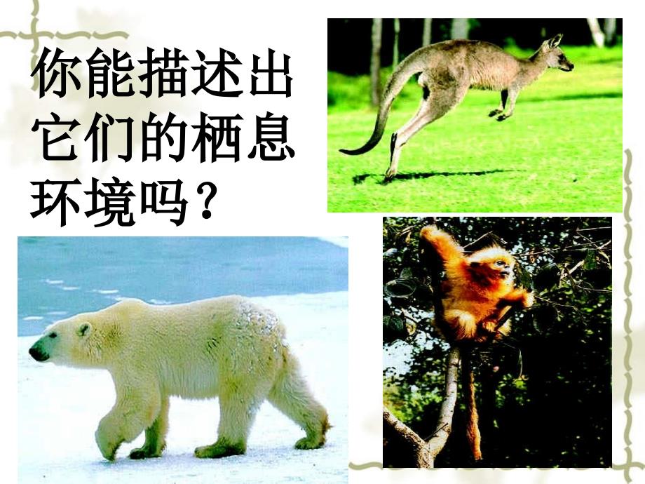 北京市和平北路学校八级生物上册 5.1.2 陆地生活的动物课件1 新人教版_第4页