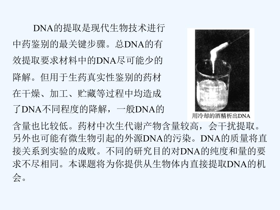 DNA的粗提取与鉴定ppt课件_第3页