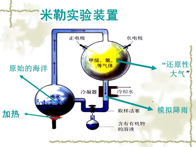 北京市和平北路学校八级生物下册 7.3.1 地球上生命的起源课件 新人教版_第5页