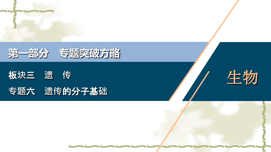 （新高考）2020高考生物二轮复习 第一部分 专题突破方略 板块三 遗传 专题六 遗传的分子基础课件_第1页