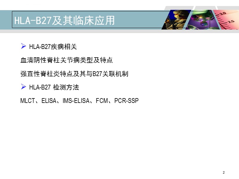 HLA-B27检测及其临床应用详解课件_第2页