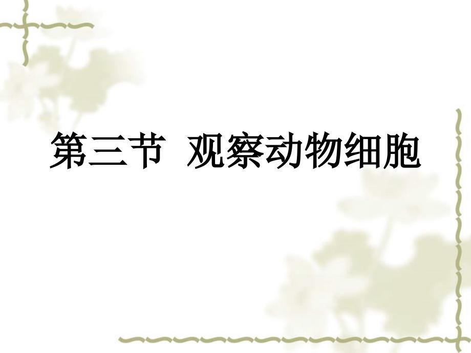 北京市和平北路学校七级生物上册 2.1.3 动物细胞课件 新人教版_第1页