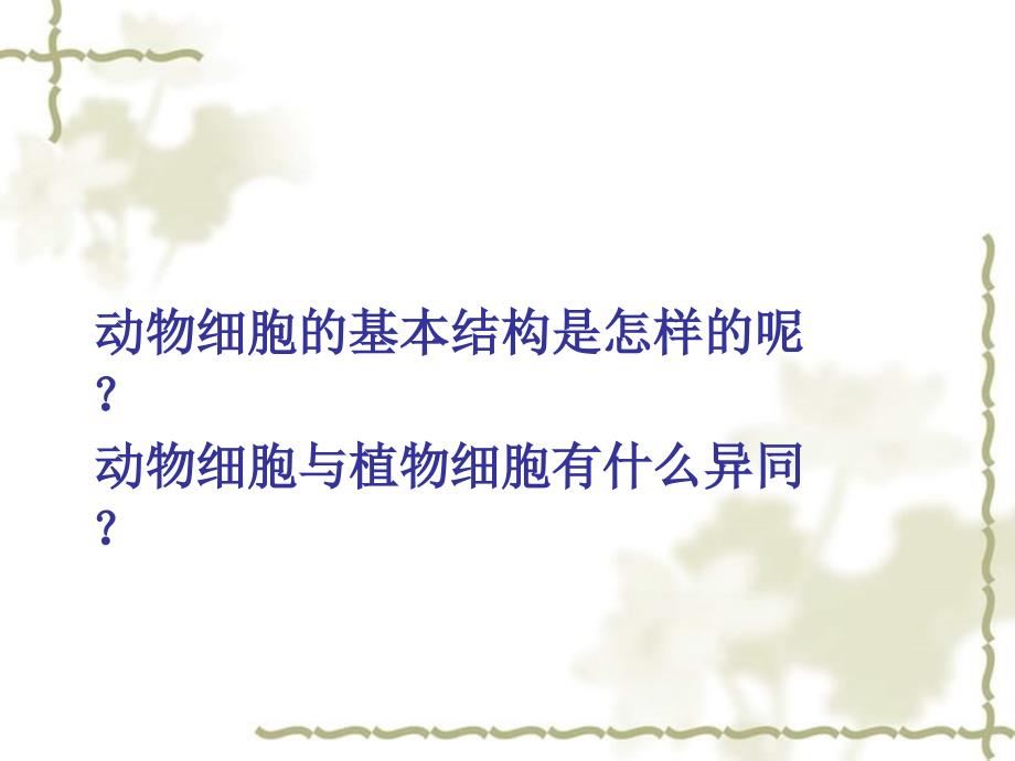 北京市和平北路学校七级生物上册 2.1.3 动物细胞课件 新人教版_第3页