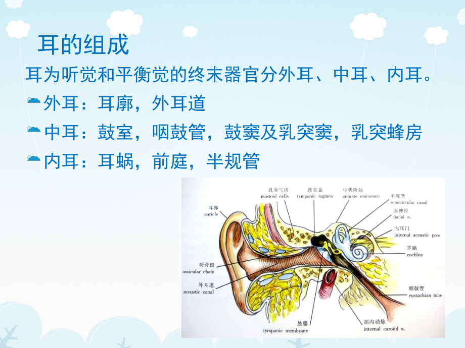 医学影像-耳的影像解剖及常见疾病诊断精品课件_第3页