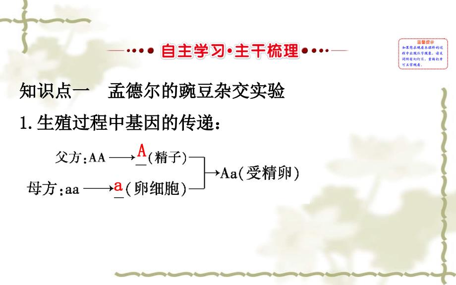 八级生物下册7.2.3基因的显性和隐性习题课件新新人教版20200302221_第2页