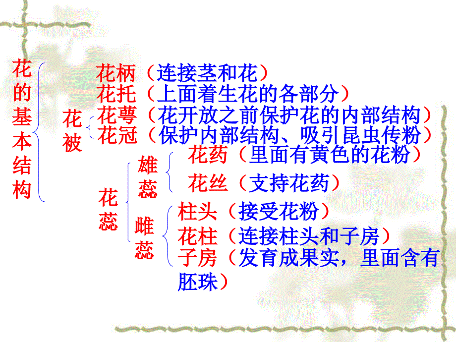 八级生物下册 第六单元 第一章 第一节 一、有性生殖课件 冀少_第4页