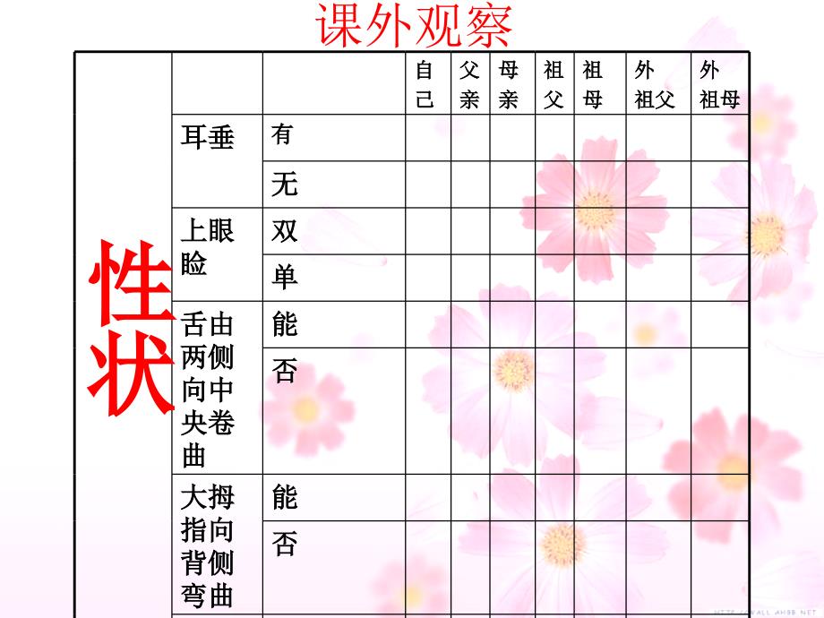 八级生物下册 基因控制生物的性状课件 人教新课标_第4页