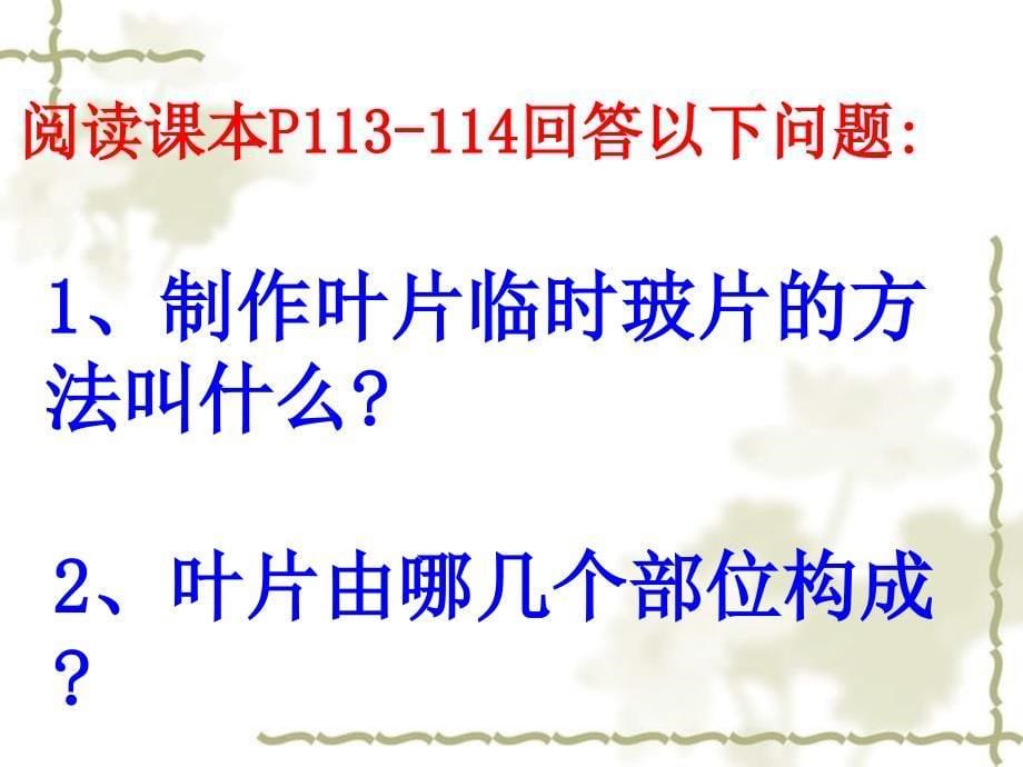 广东省阳东七级生物上册《3.3 绿色植物参与生物圈的水循环》课件 新人教版_第5页