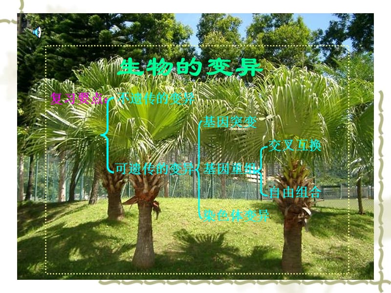 八级生物下册 生物的变异课件 苏科_第1页