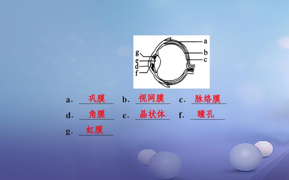 中考生物一轮复习 第四单元 第六、七章 人体内生命活动的调节以及人类活动对生物圈的影响课件 新人教版_第3页