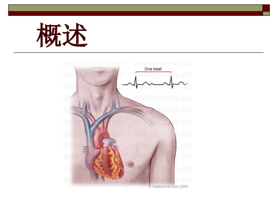 内科学PPT课件 心律失常 循环系统疾病 心脑血管_第2页