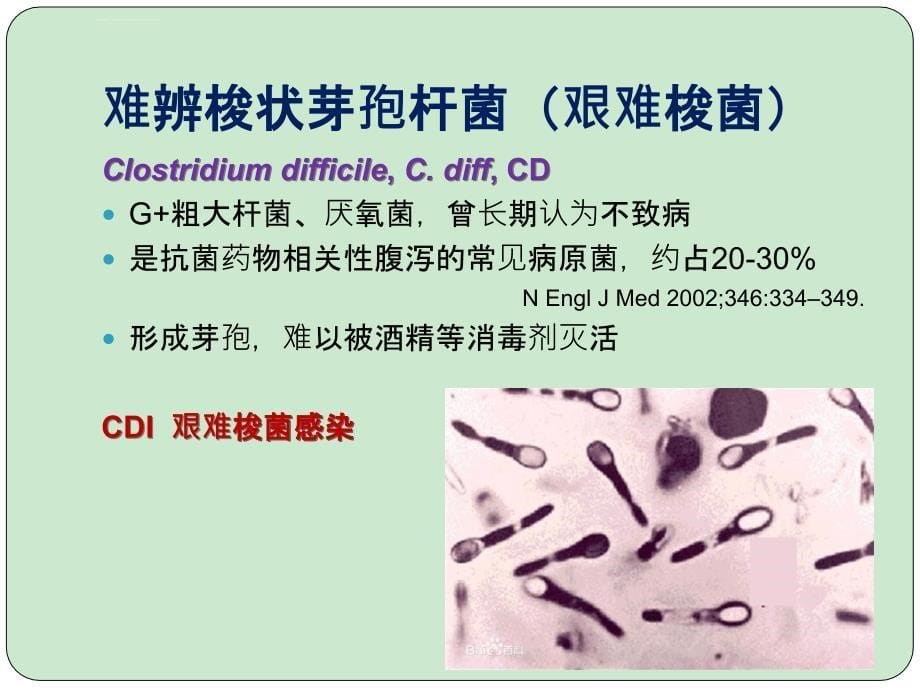 ICU艰难梭菌感染课件_第5页